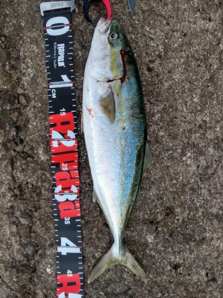 ショアプラッキング