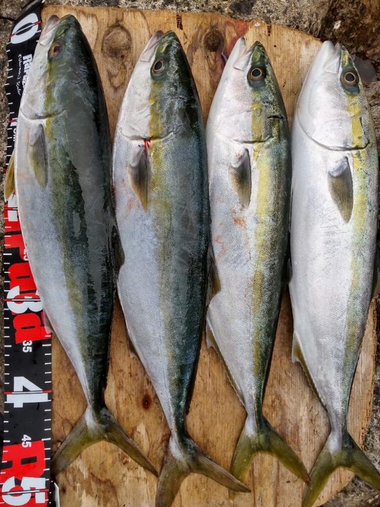 ショアプラッキング