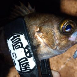 フロートメバリング