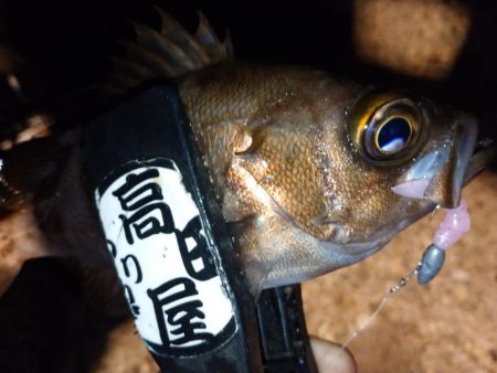 フロートメバリング