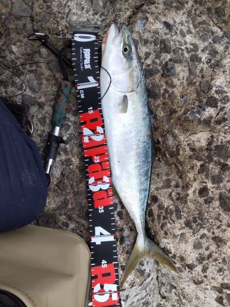 ショアプラッキング