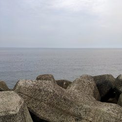 濁ってるので穴釣り