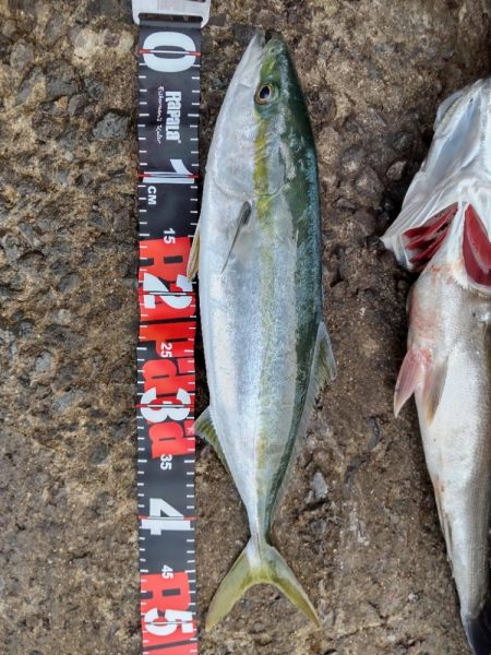 ショアプラッキング