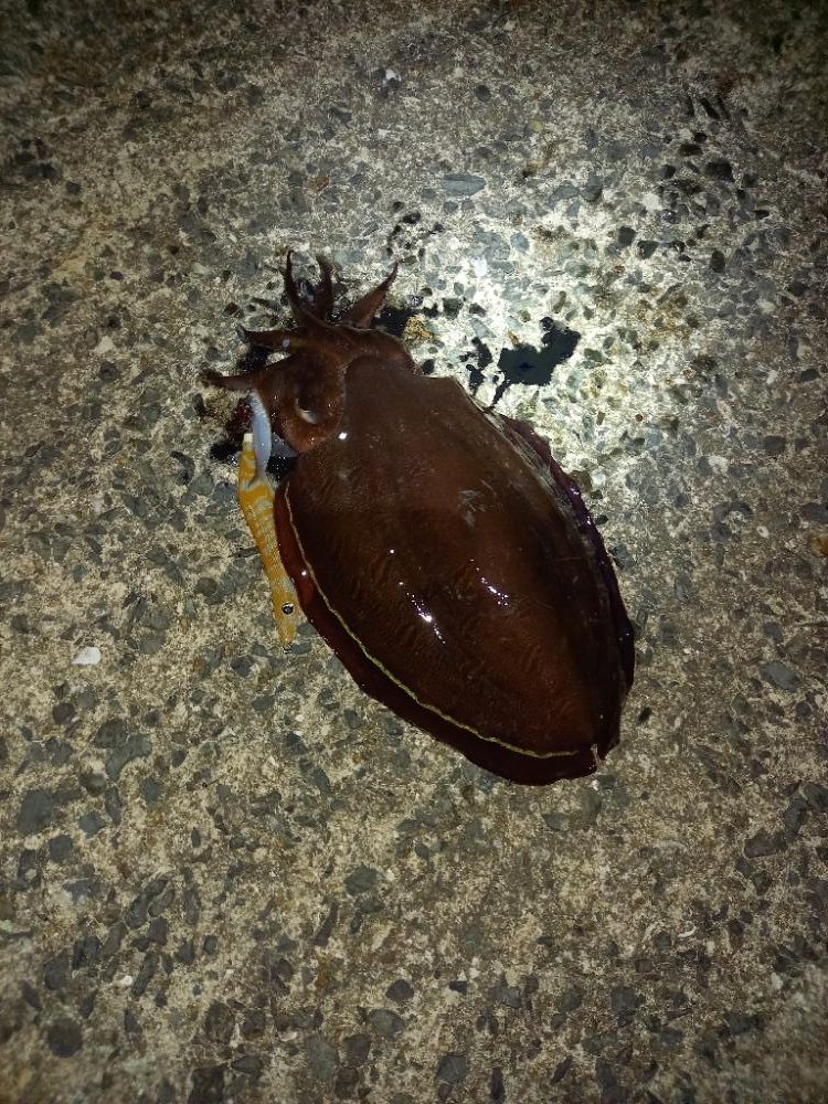 まあまあかな！