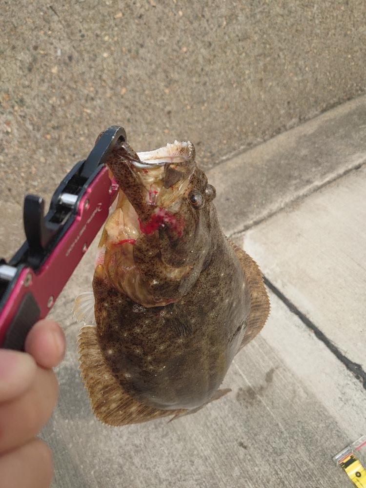 実家に帰省ついでの釣行。