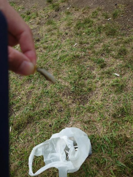 稚鮎ももう終わりか。