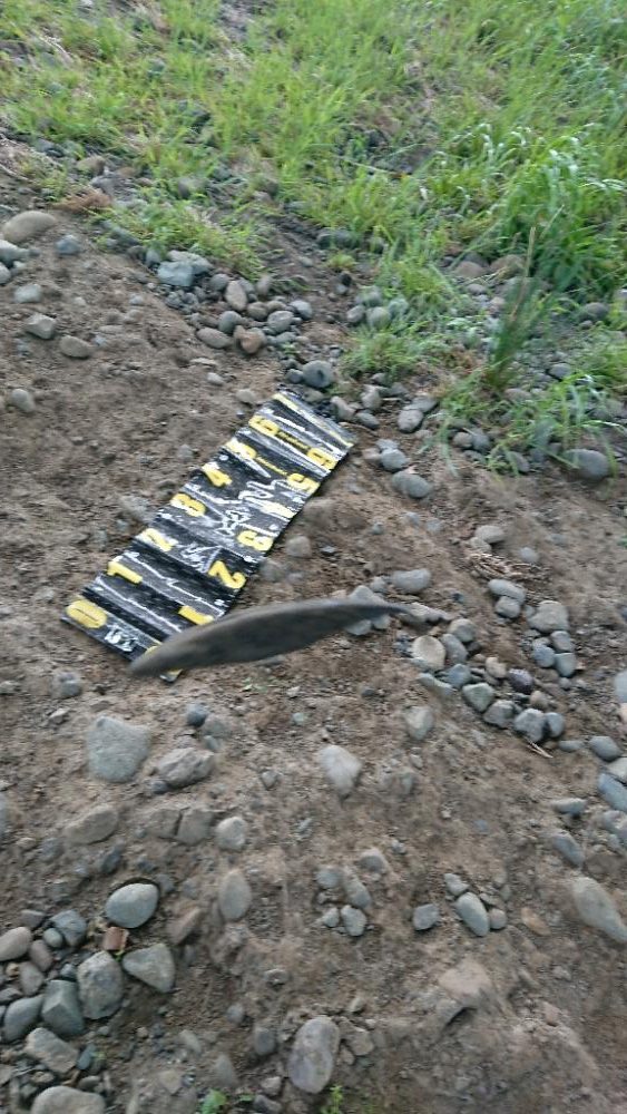 久々のスモール