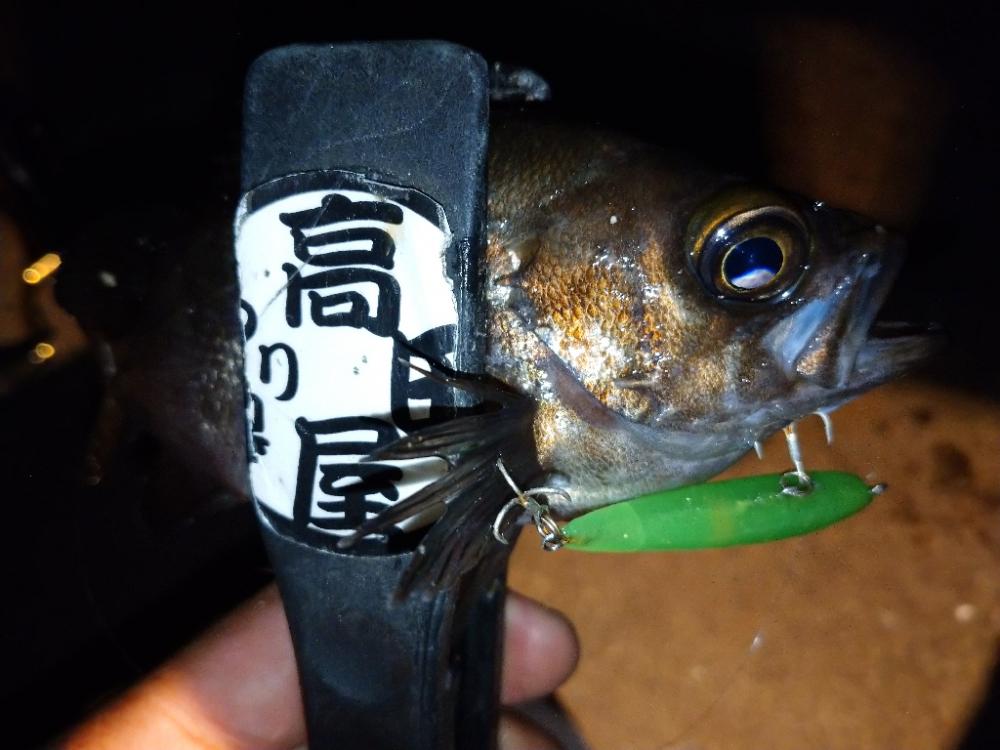 makopenでメバリング