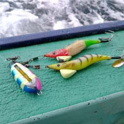 ジギング・タコリレー便