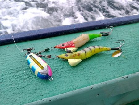 ジギング・タコリレー便