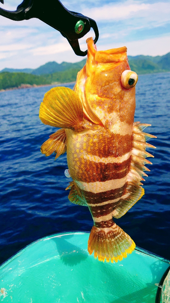 レンタルボート