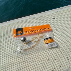 タイラバ 和歌山 加太 三邦丸