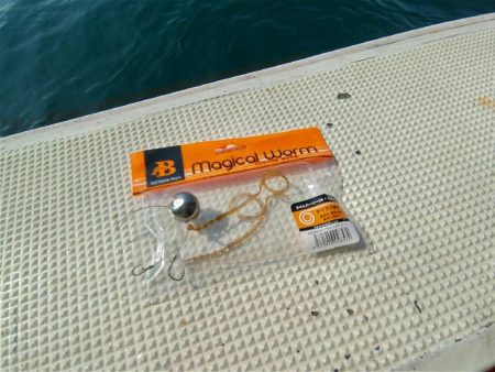 タイラバ 和歌山 加太 三邦丸