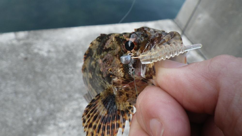 ハッピーアイランドIN淡路島