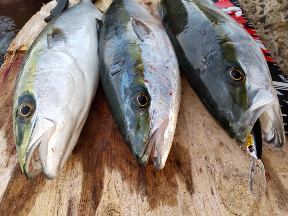 ショアプラッキング