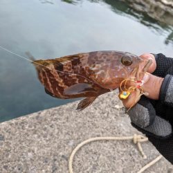 アジングに行きましたが…