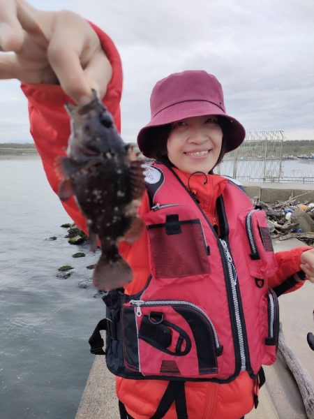 ちょい投げジグヘッドでクジメが大当たり