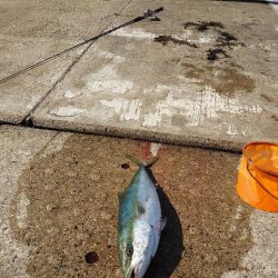 ショアジギング