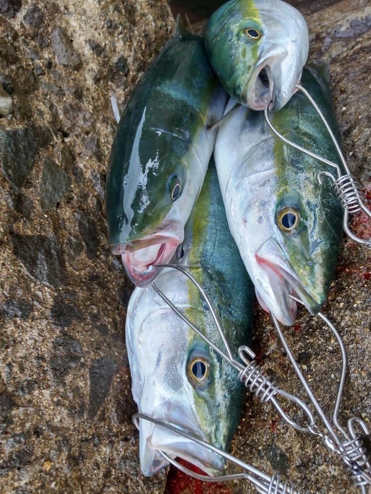 ショアプラッキング