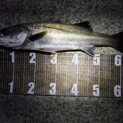 まだまだバチ抜け！？