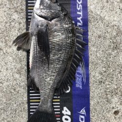 イチノ兄弟、釣果！