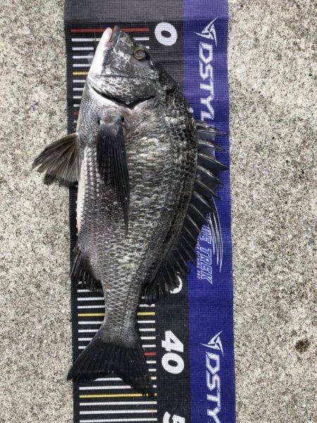 イチノ兄弟、釣果！