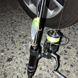 プラグでメバリング