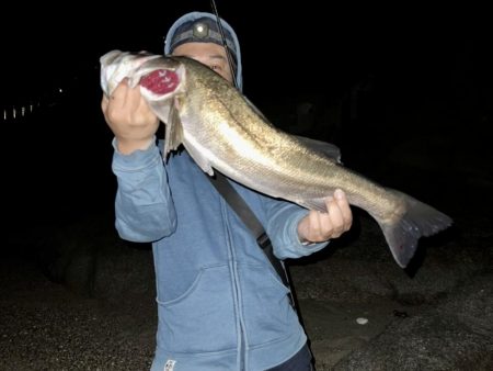 久しぶりに楽しめました！