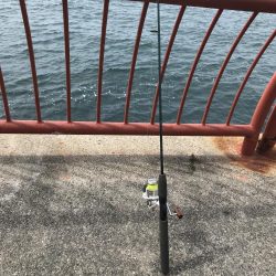 久しぶりの平磯