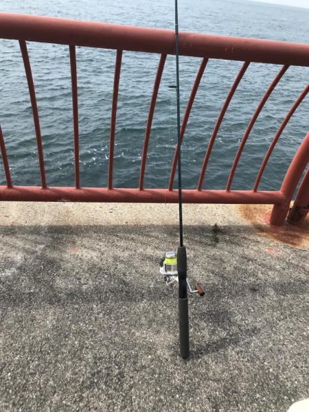 久しぶりの平磯