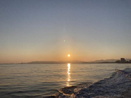 超絶激渋、初魚種