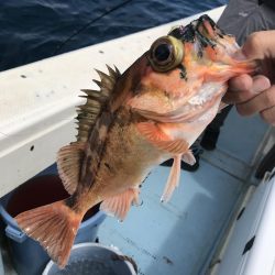 中深海ジギング