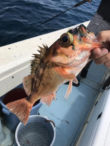 中深海ジギング