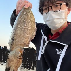 エギングでコウイカ