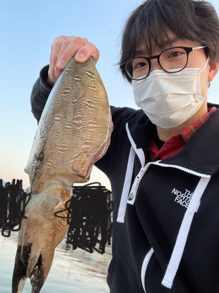 エギングでコウイカ