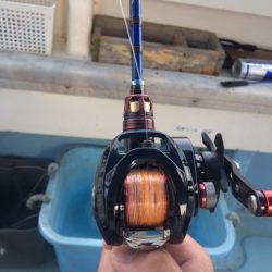 初めてのタコ釣りはほろ苦いデビュー戦になりました