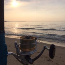 近場のサーフでキスのアタリを楽しみました