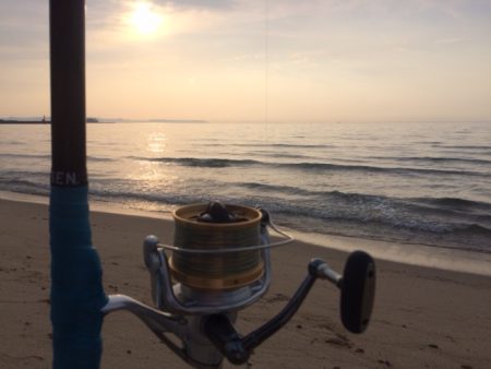 近場のサーフでキスのアタリを楽しみました