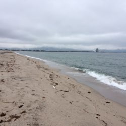 キス釣りの聖地、弓ヶ浜への釣行