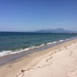 弓ヶ浜で気持ち良くキス釣りしてきました