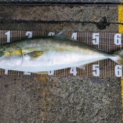 雨上がりの朝に