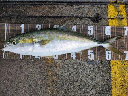 雨上がりの朝に