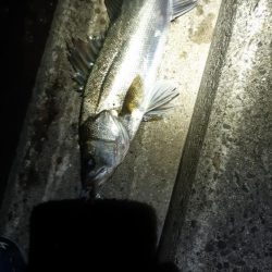 潮もよくなってきたので！