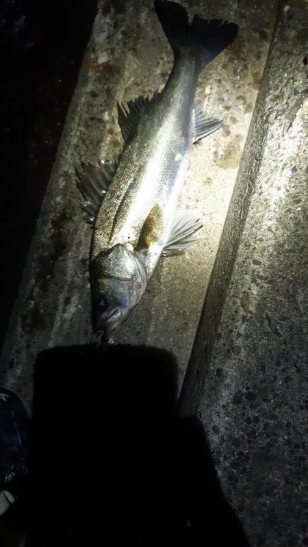 潮もよくなってきたので！