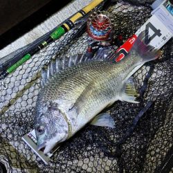 大阪湾奥最前戦