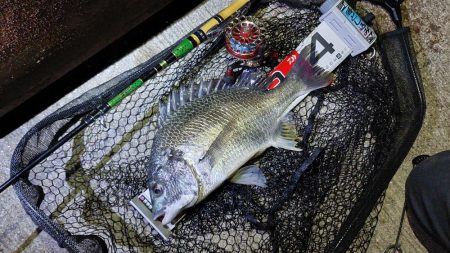 大阪湾奥最前戦