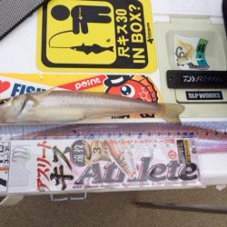 近場の浜に短時間の釣行をしてきました