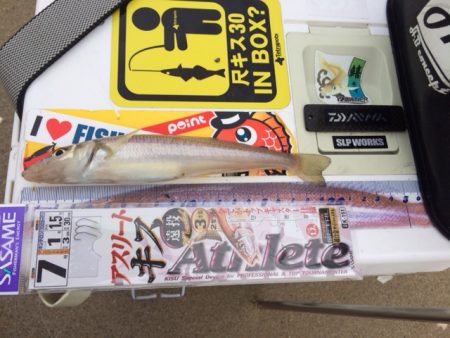 近場の浜に短時間の釣行をしてきました