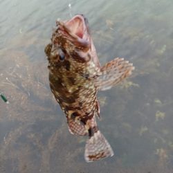 数は出ましたが型が