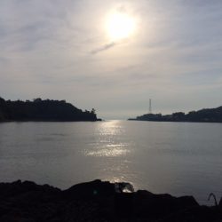 黒鯛釣りの大会に参加しました